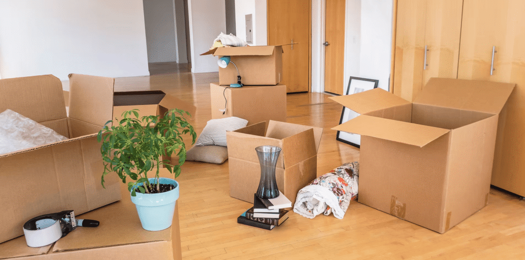 Removals in Bognor Regis